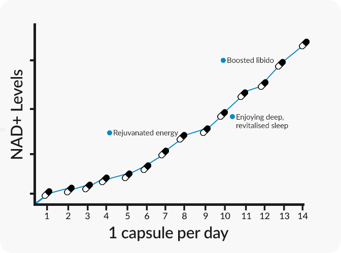nad-levels-graph-per-day