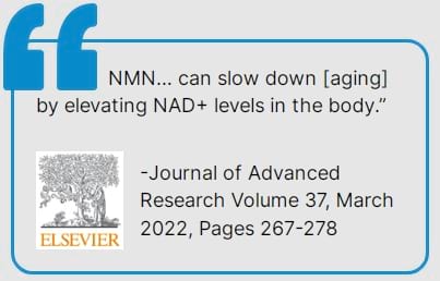 nmn-supplement-review